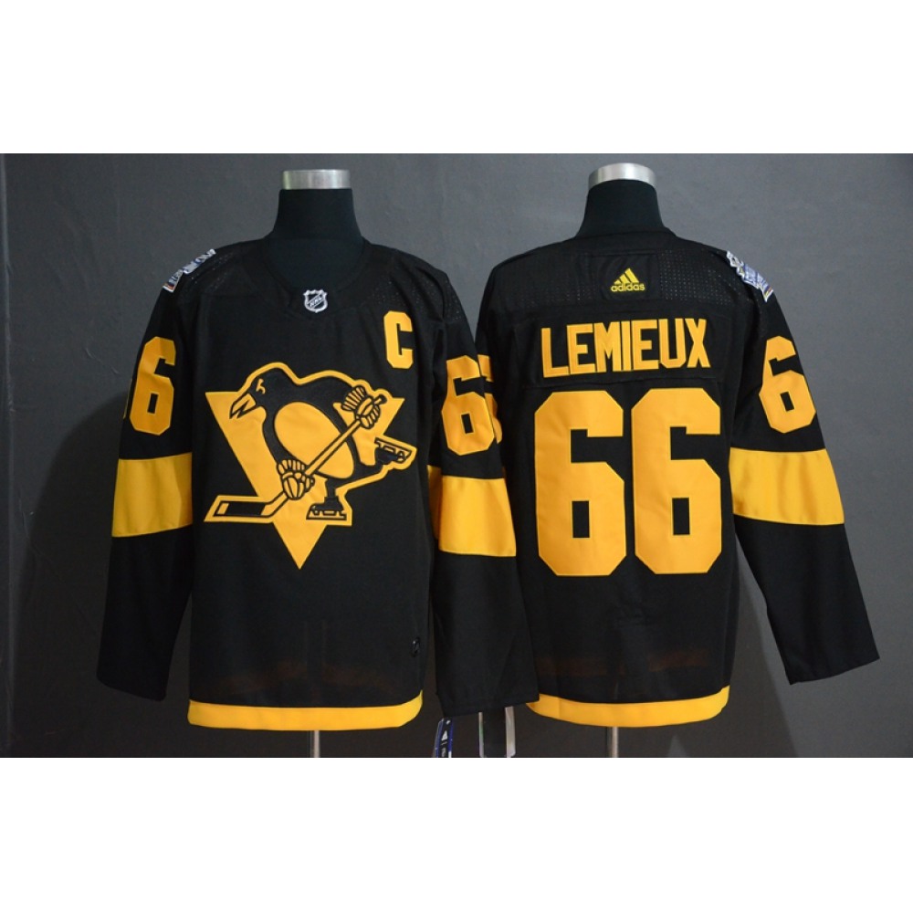 Men's Pittsburgh Penguins #66 Mario Lemieux Black 2019 Stadium Series Stitched NHL Jersey