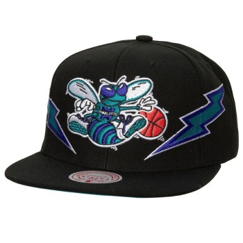 Charlotte Hornets Snapback Hat Charlotte Hornets Snapback Hat