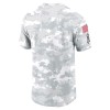Men's Pittsburgh Steelers Nike Arctic Camo 2024 Salute To Service Performance T-Shirt